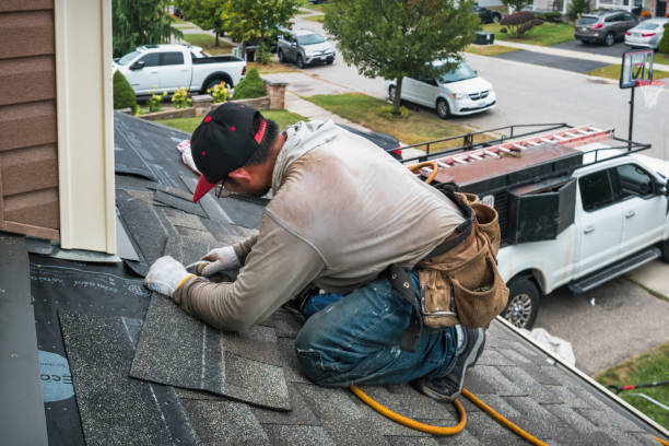 Professional Gutter Repair And Installation technician working in Sheridan, IL